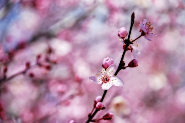 2318741763_fd33b5850e_z